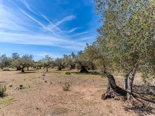Terreno en venta en Baix Ebre, Catalunya