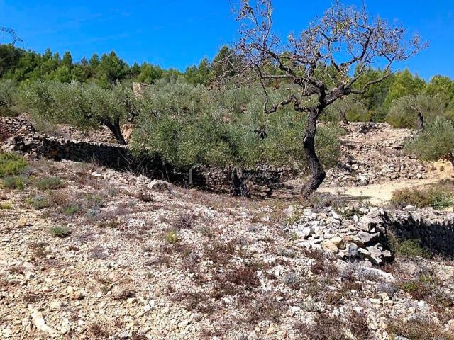 Terreno en venta en Baix Ebre, Catalunya