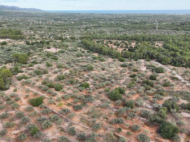 Terreno en venta en Baix Ebre, Catalunya