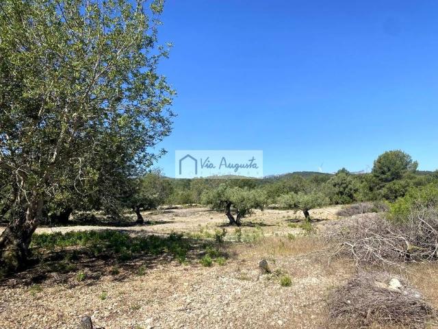 Terreno en venta en Baix Ebre, Catalunya