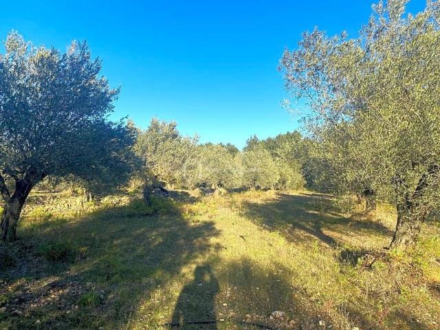 Terreno en venta en Baix Ebre, Catalunya