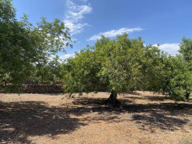 Terreno en venta en Baix Ebre, Catalunya