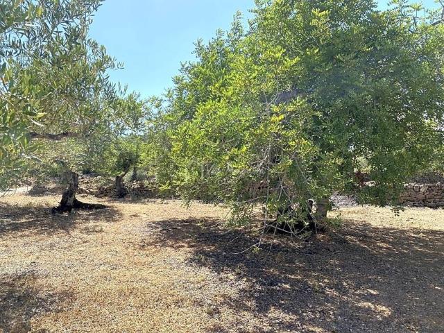 Terreno en venta en Baix Ebre, Catalunya