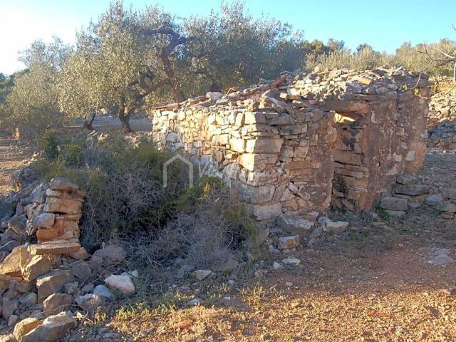 Terreno en venta en Baix Ebre, Catalunya