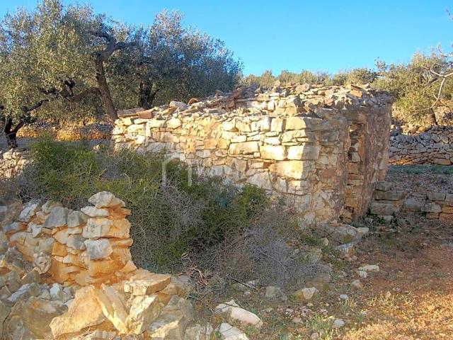Terreno en venta en Baix Ebre, Catalunya