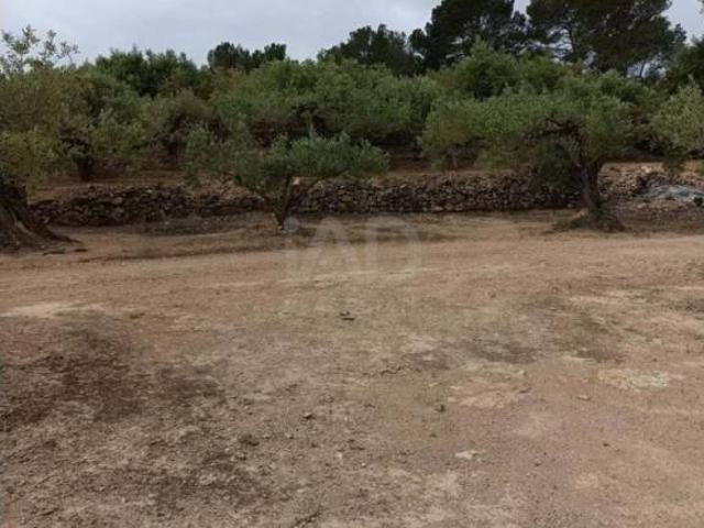 Terreno en venta en Baix Ebre, Catalunya