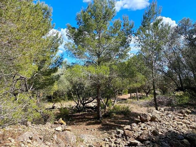 Terreno en venta en Baix Ebre, Catalunya