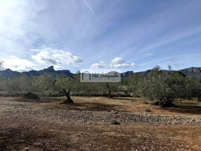 Terreno en venta en Baix Ebre, Catalunya