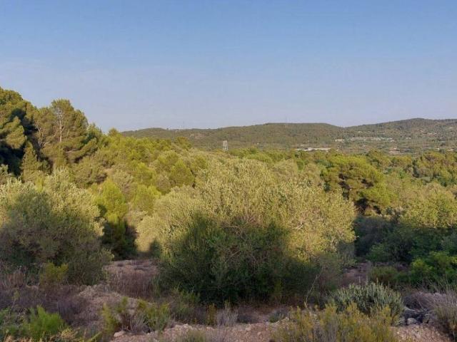 Terreno en venta en Baix Ebre, Catalunya