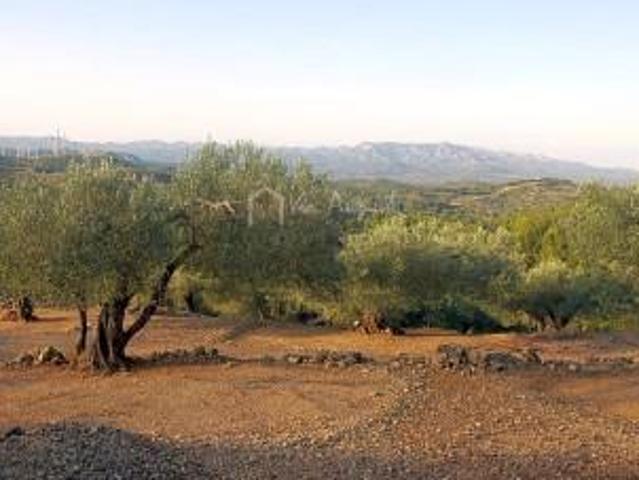 Terreno en venta en Baix Ebre, Catalunya