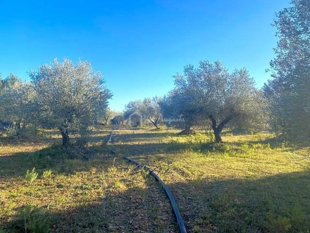 Terreno en venta en Baix Ebre, Catalunya