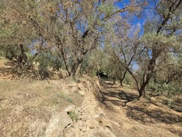 Terreno en venta en Pinos del Valle, Comarca del Valle de Lecrín