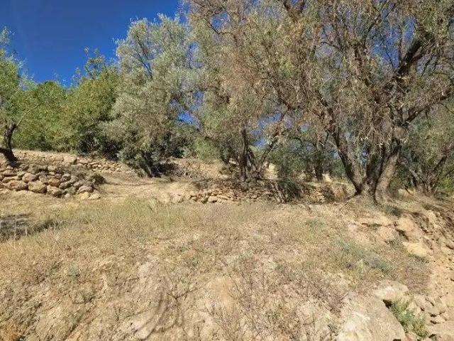 Terreno en venta en Pinos del Valle, Comarca del Valle de Lecrín