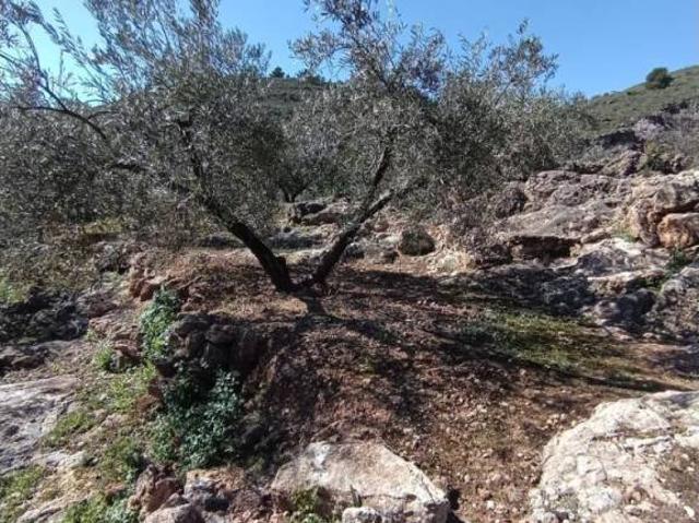 Terreno en venta en Comarca del Valle de Lecrín, Andalucía