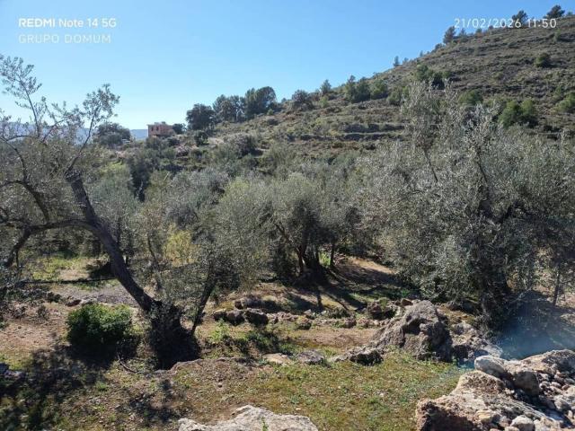 Terreno en venta en Comarca del Valle de Lecrín, Andalucía