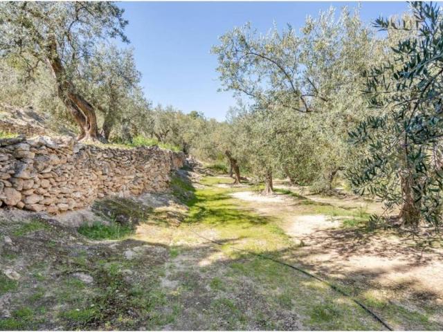 Terreno en venta en Comarca del Valle de Lecrín, Andalucía