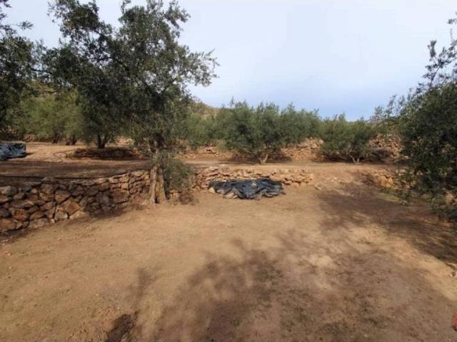 Terreno en venta en Comarca del Valle de Lecrín, Andalucía