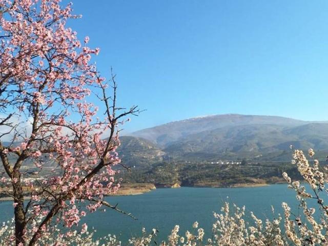Terreno en venta en Comarca del Valle de Lecrín, Andalucía