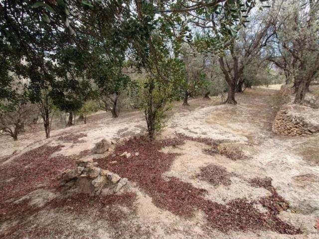 Terreno en venta en Comarca del Valle de Lecrín, Andalucía