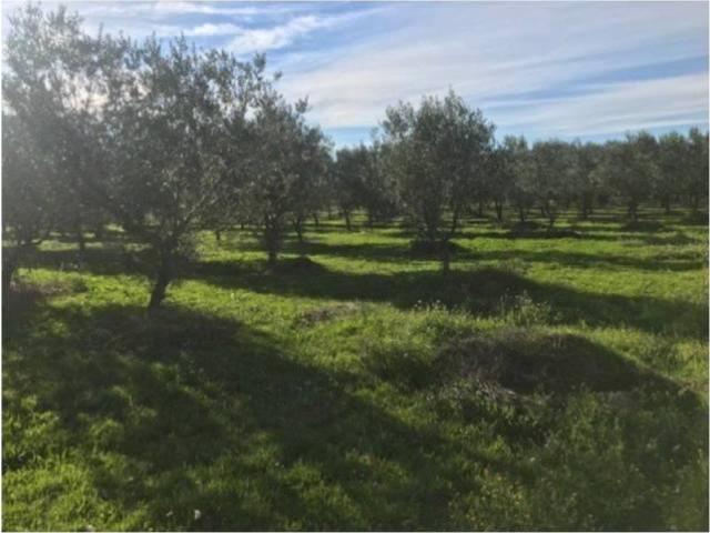 Terreno en venta en Alt Camp, Catalunya