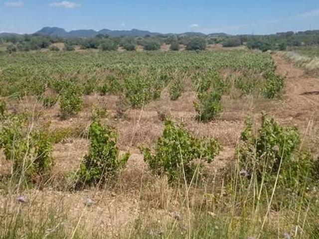 Terreno en venta en Alt Camp, Catalunya