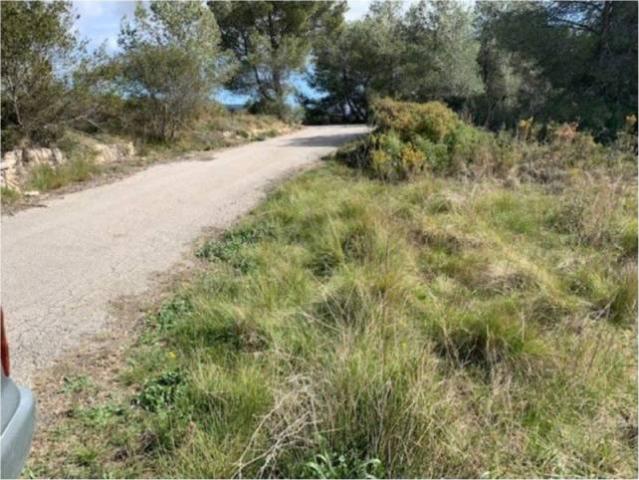 Terreno en venta en Alt Camp, Catalunya