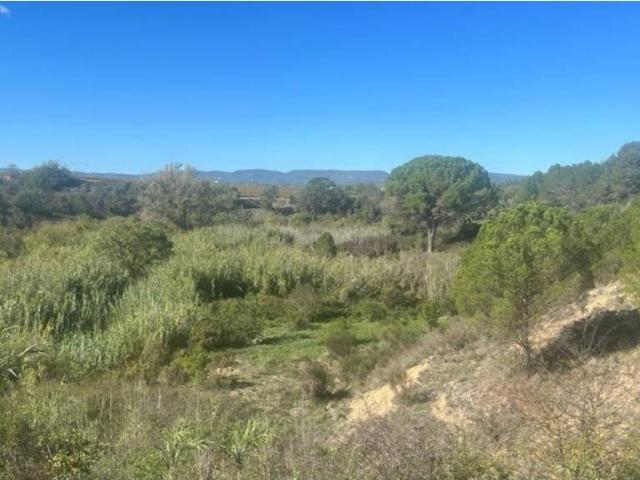 Terreno en venta en Alt Penedès, Catalunya