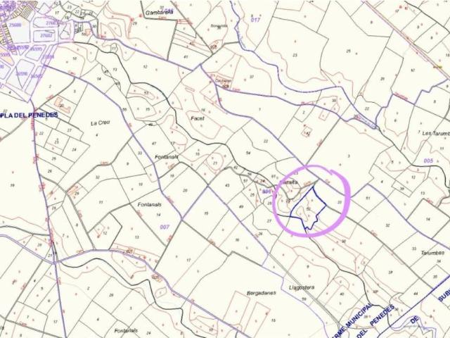Terreno en venta en Alt Penedès, Catalunya
