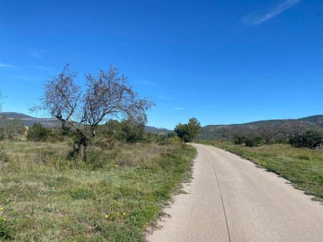 Terreno en venta en Alt Camp, Catalunya