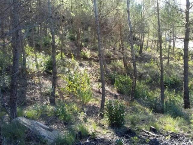Terreno en venta en Bages, Catalunya
