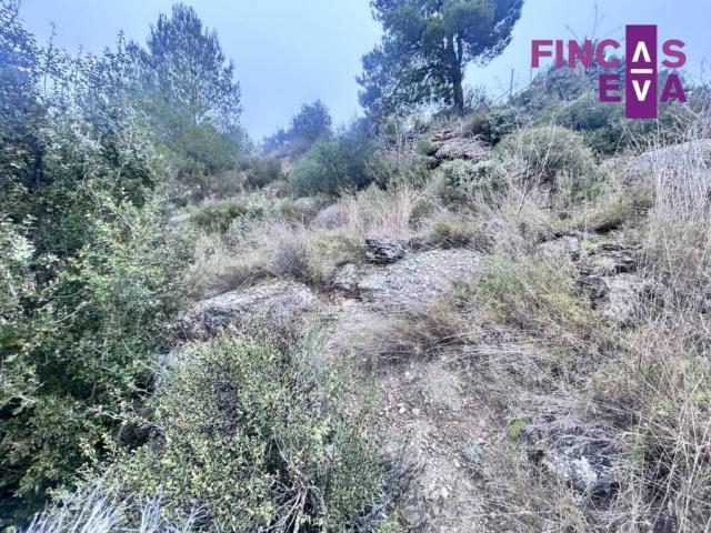 Terreno en venta en el Pont de Vilomara, Bages