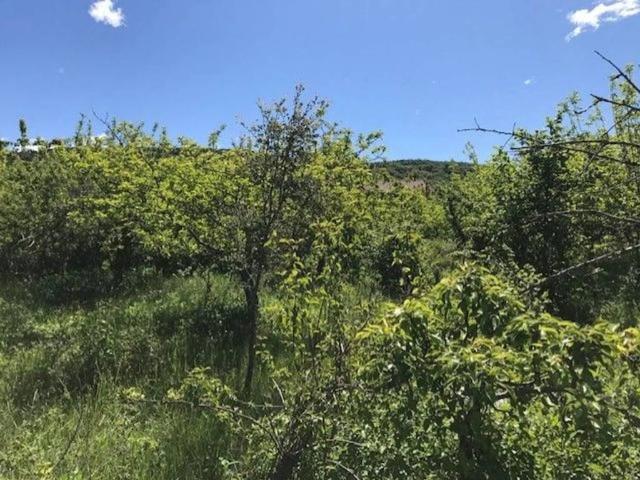 Terreno en venta en Aínsa-sobrarbe, Aragón