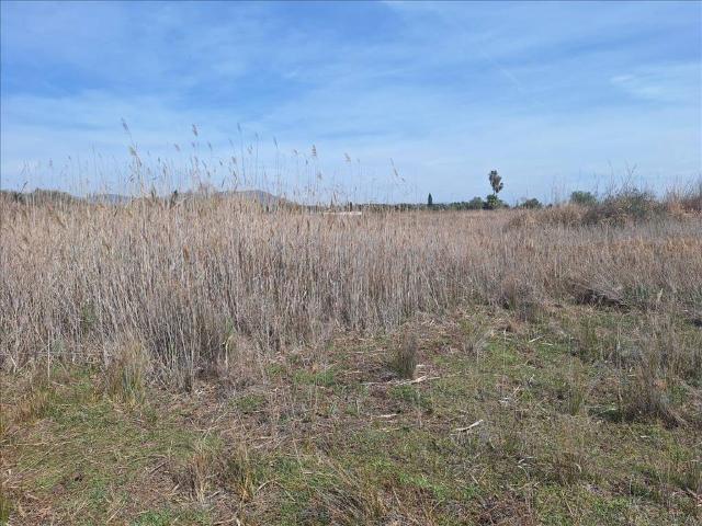 Terreno en venta en l'Horta Nord, Valencia