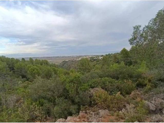 Terreno en venta en la Marina Alta, Valencia