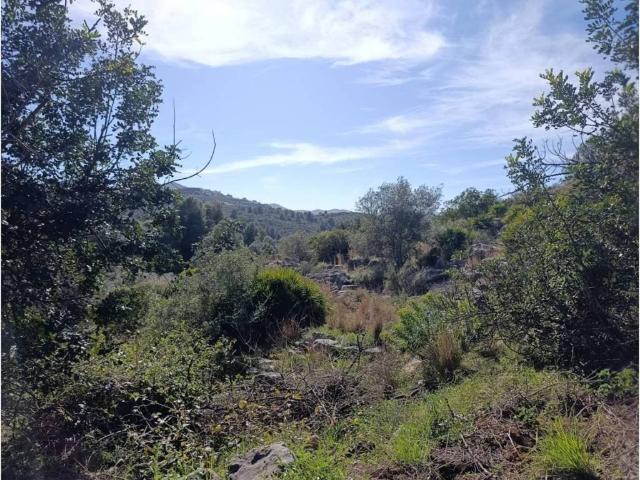 Terreno en venta en la Marina Alta, Valencia