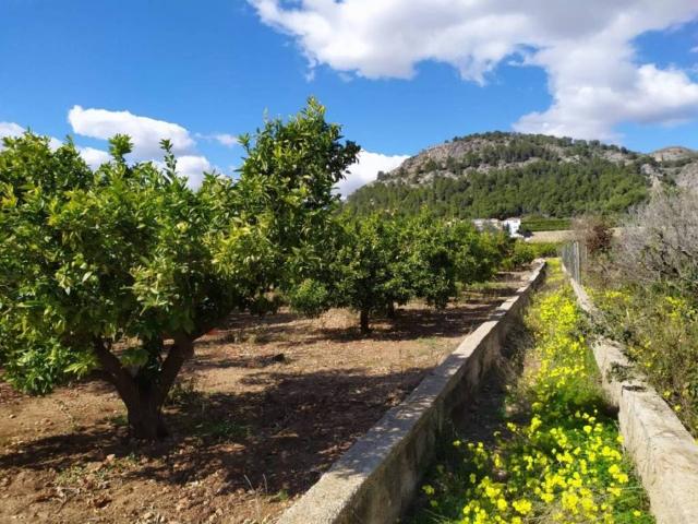 Terreno en venta en la Safor, Valencia