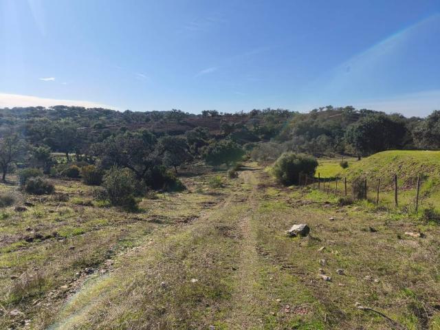 Terreno en venta en El Ronquillo, Andalucía