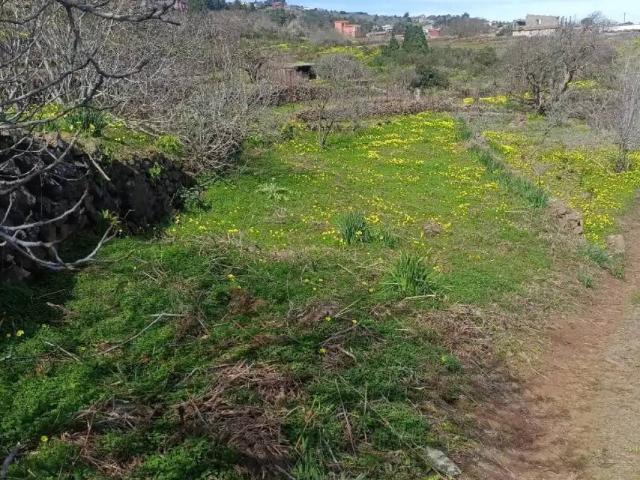 Terreno en venta en Las Rosas, El Rosario