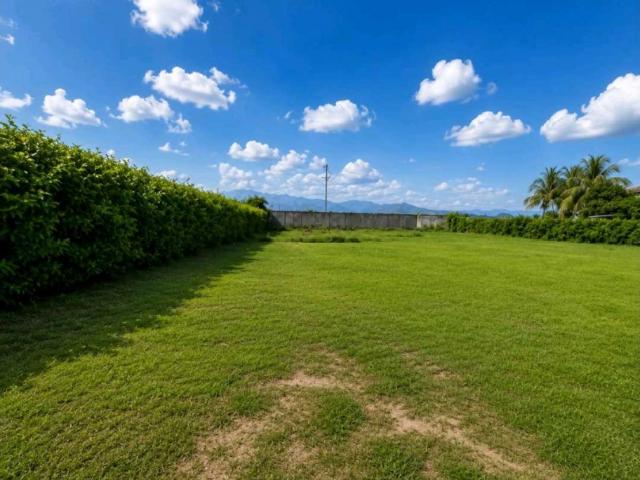 Terreno en venta en Carabobo