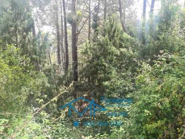 Terreno en venta en El Tiemblo, Castilla y León