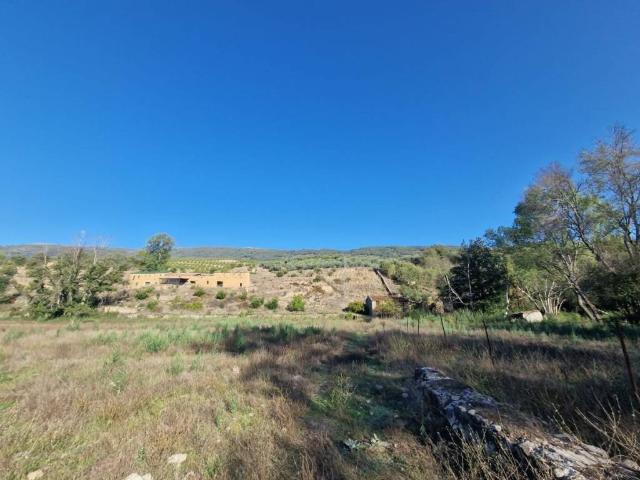 Terreno en venta en Casas Del Castañar, Extremadura