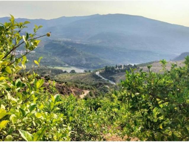 Terreno en venta en El Valle, Granada