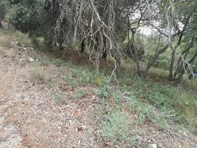 Terreno en venta en El Valle de Altomira, Cuenca