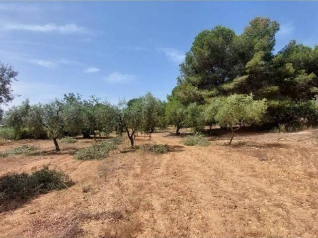 Terreno en venta en Baix Penedès, Catalunya