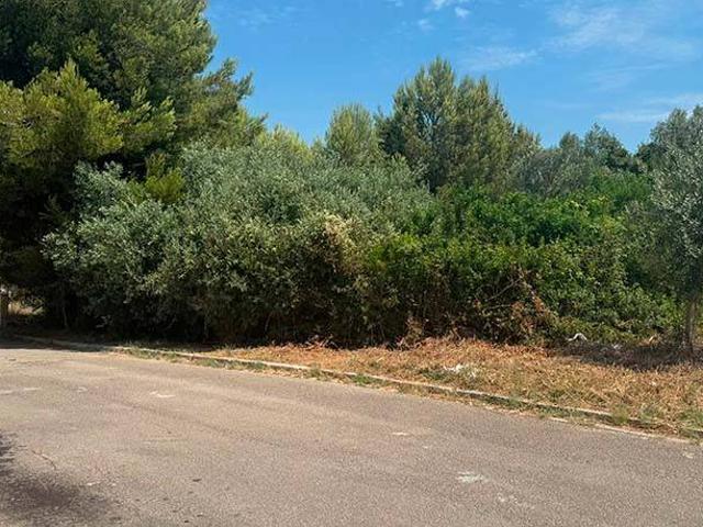 Terreno en venta en Baix Penedès, Catalunya