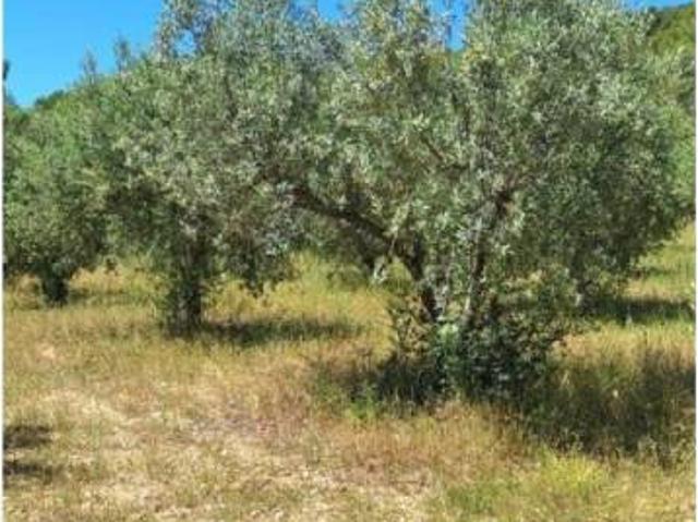 Terreno en venta en Alt Camp, Catalunya