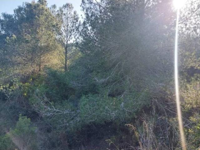Terreno en venta en Baix Penedès, Catalunya