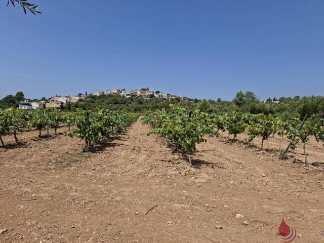 Terreno en venta en Sant Vicenç de Calders, Baix Penedès