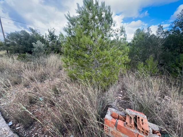 Terreno en venta en Baix Penedès, Catalunya