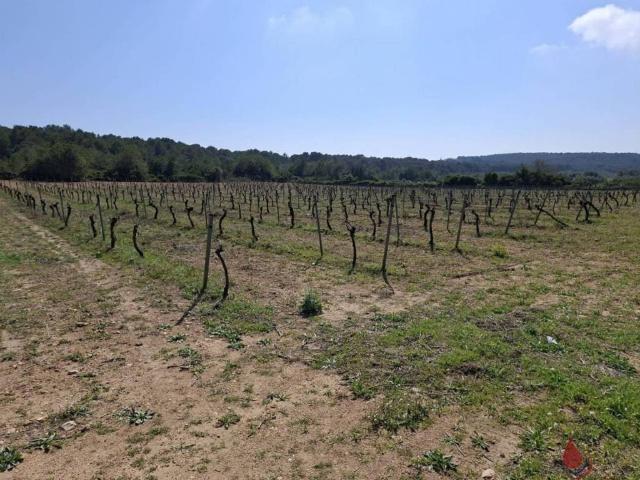 Terreno en venta en Baix Penedès, Catalunya